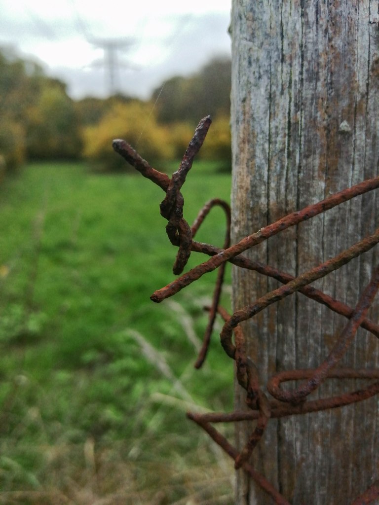 Ouvrir la Liberté 1