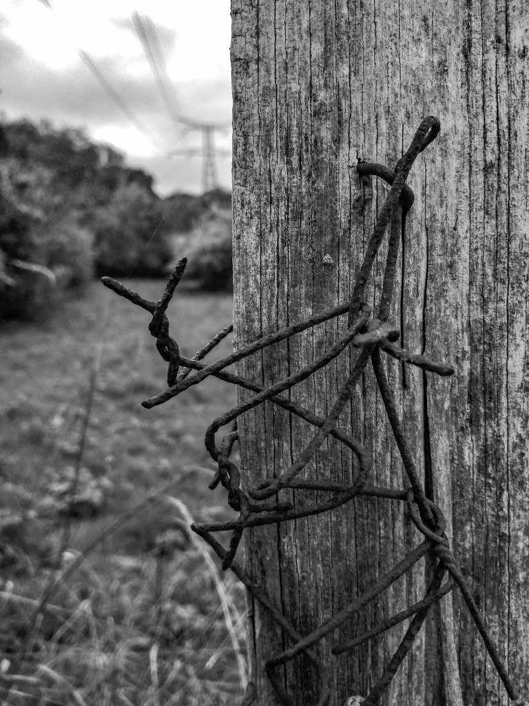 Ouvrir la Liberté 2